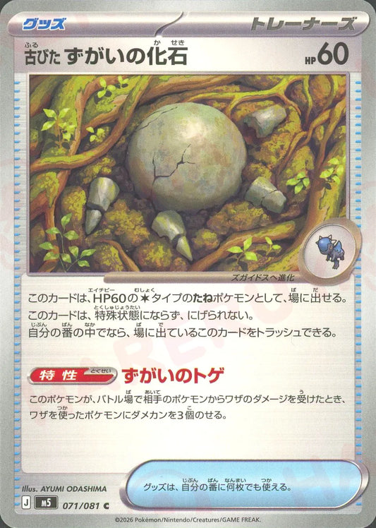 Old Jaw Fossil (C){Item}〈071/081〉[M5]