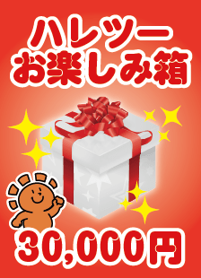 ハレツーお楽しみ箱　3万円ver. - 晴れる屋2