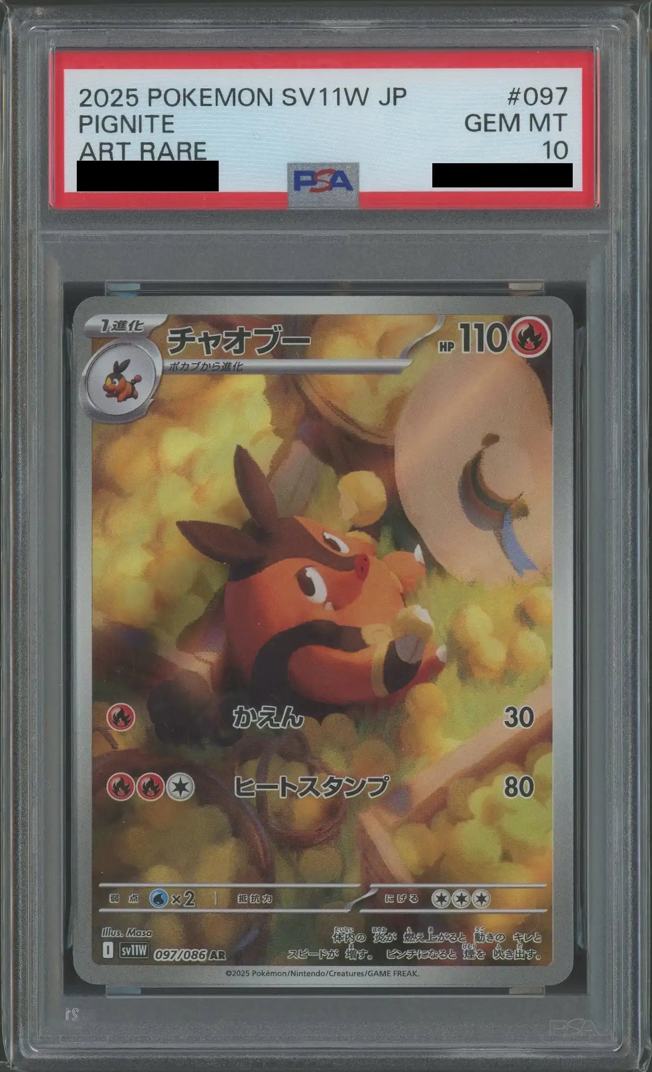 【PSA10】チャオブー(AR){炎}〈097/086〉[SV11W]