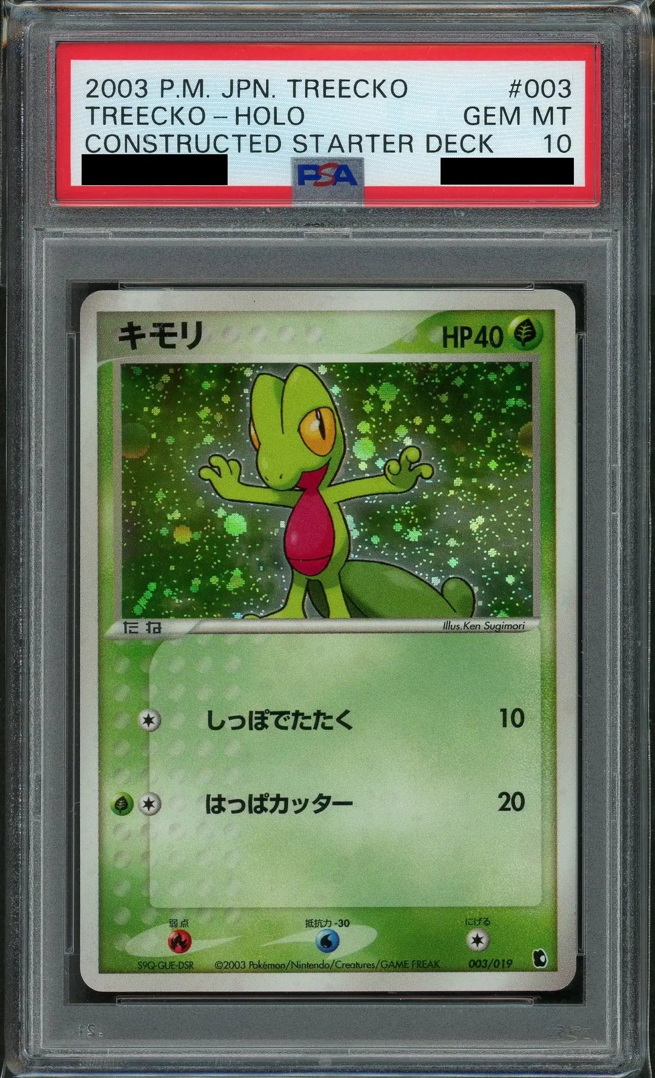 【PSA10】キモリ(D){草}〈003/019〉[ADS-1k]