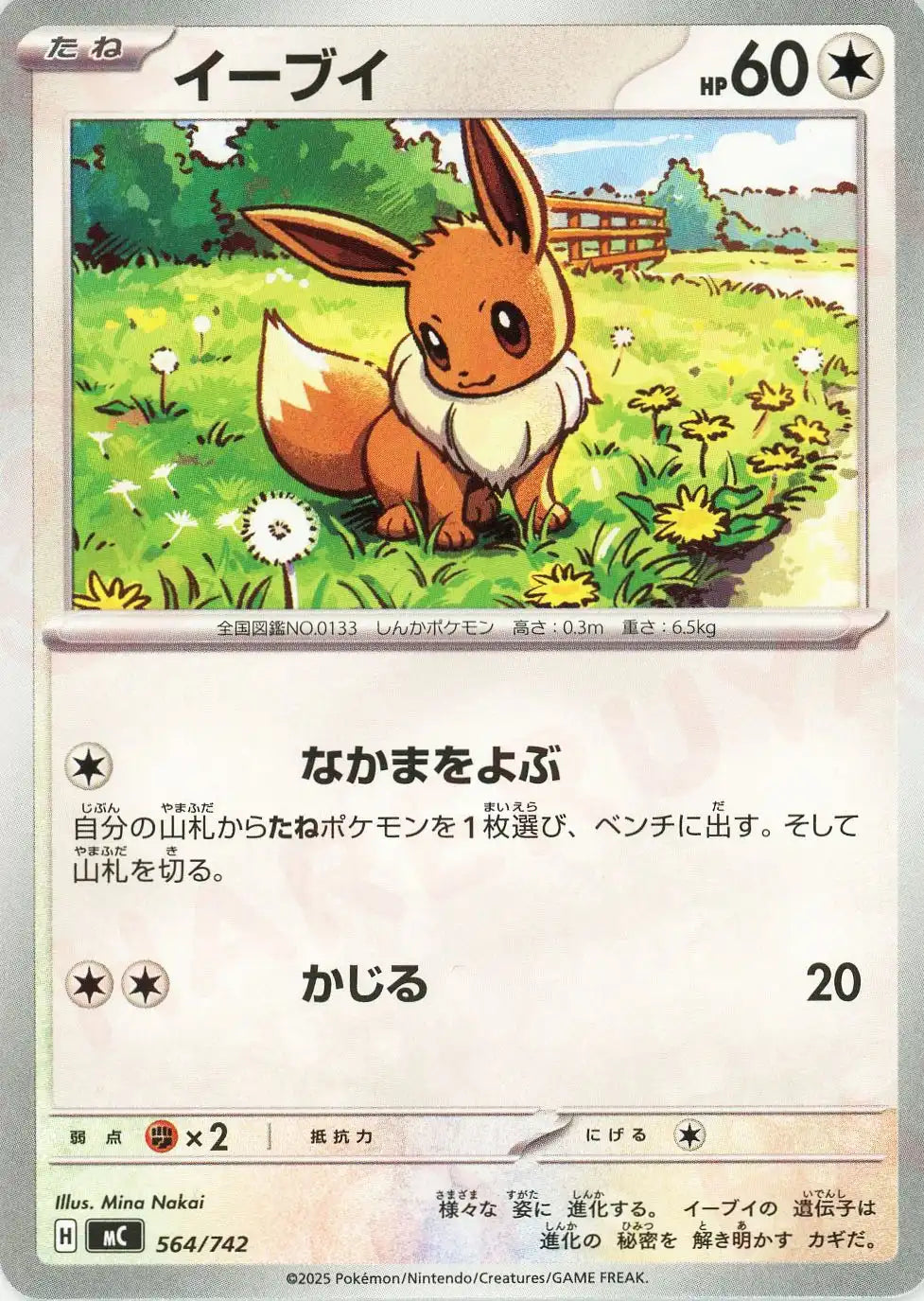 イーブイ(-){無}〈564/742〉[MC]