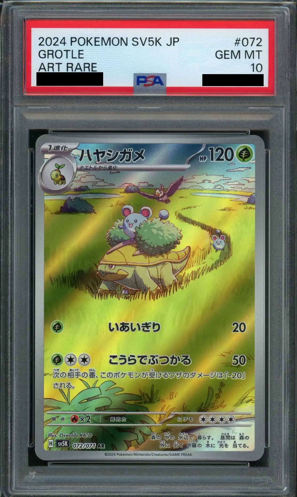 【PSA10】ハヤシガメ(AR){草}〈072/071〉[SV5K]