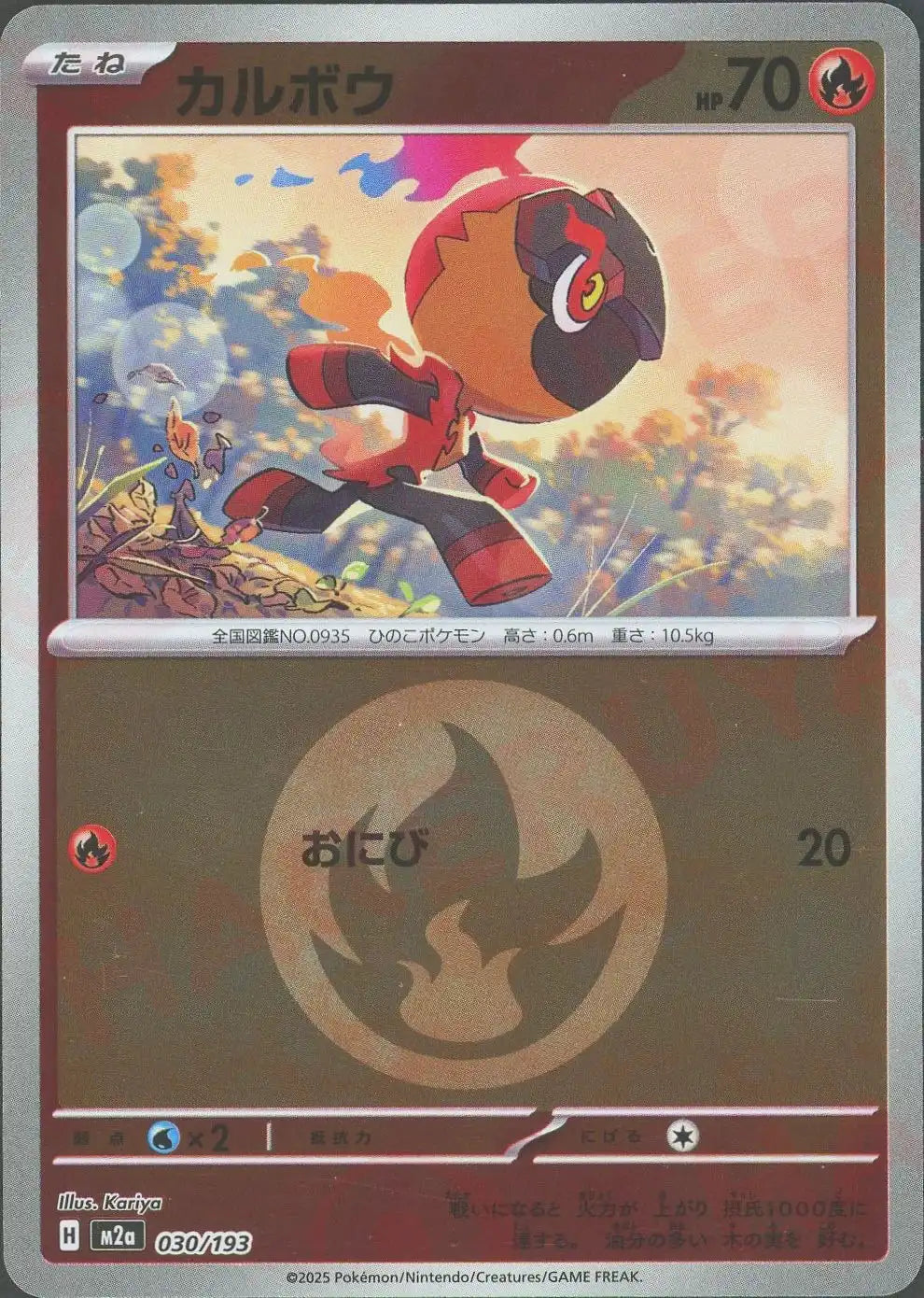 カルボウ:エネルギーミラー(-){炎}〈030/193〉[M2a-EM]