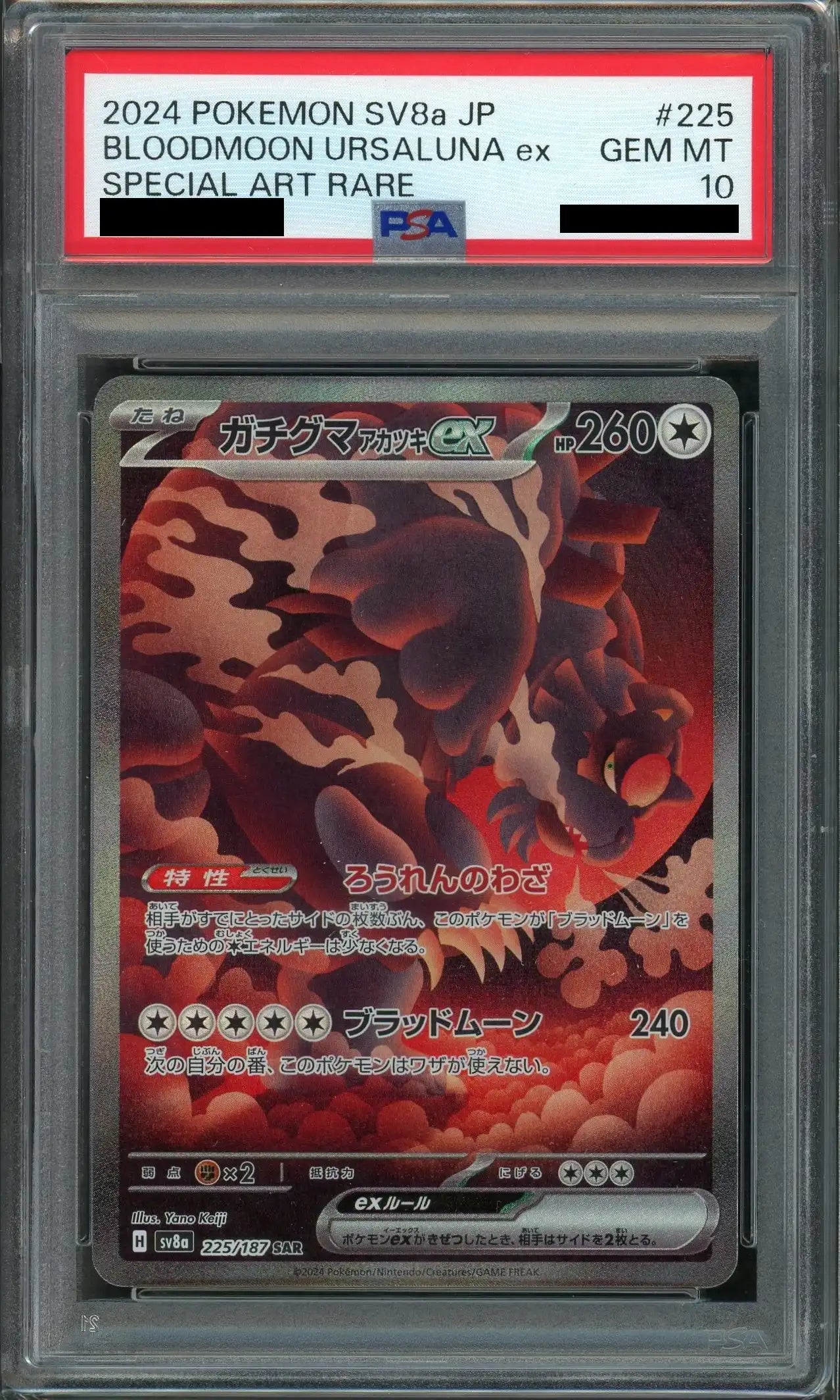 【PSA10】ガチグマアカツキex(SAR){無}〈225/187〉[SV8a]