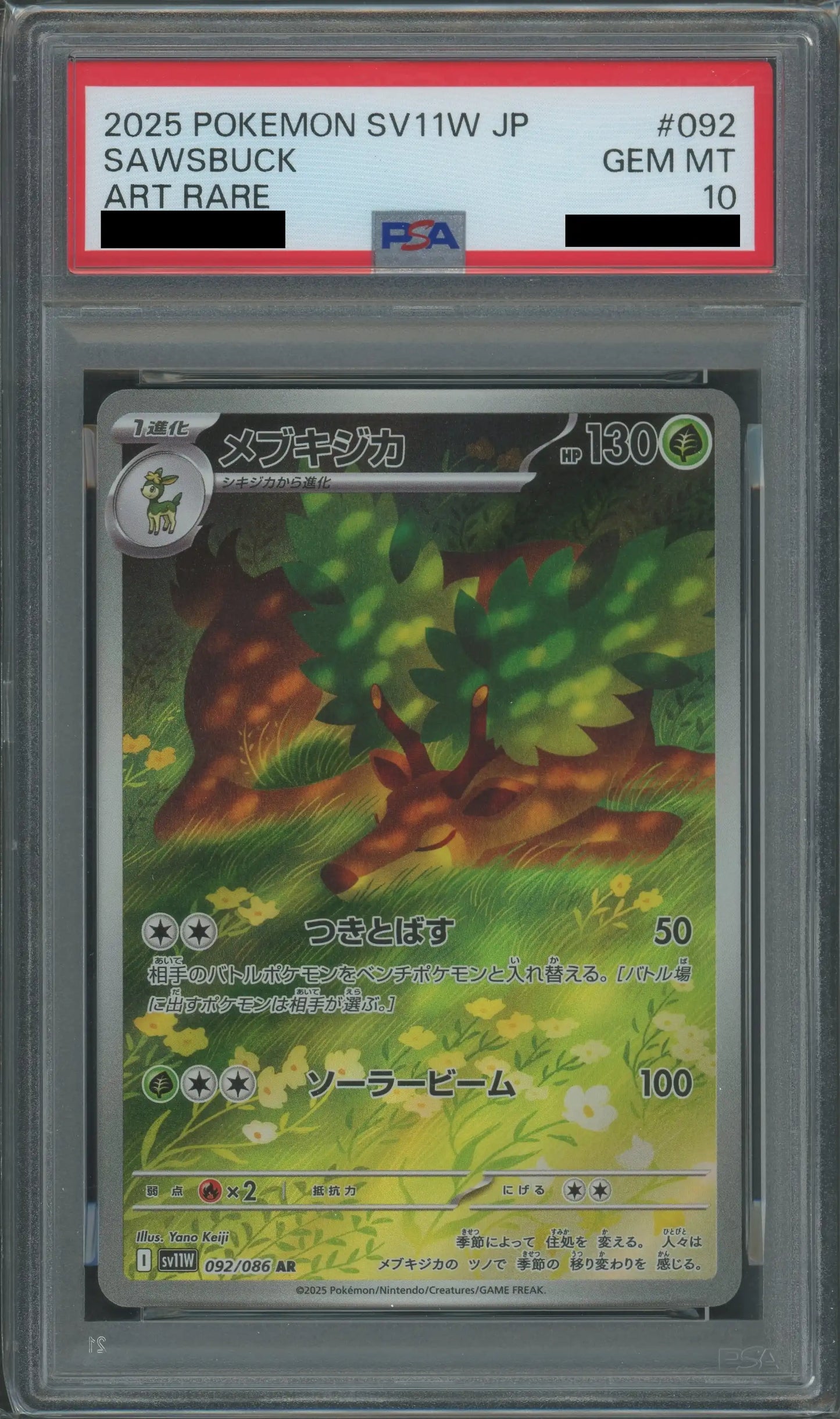 【PSA10】メブキジカ(AR){草}〈092/086〉[SV11W]