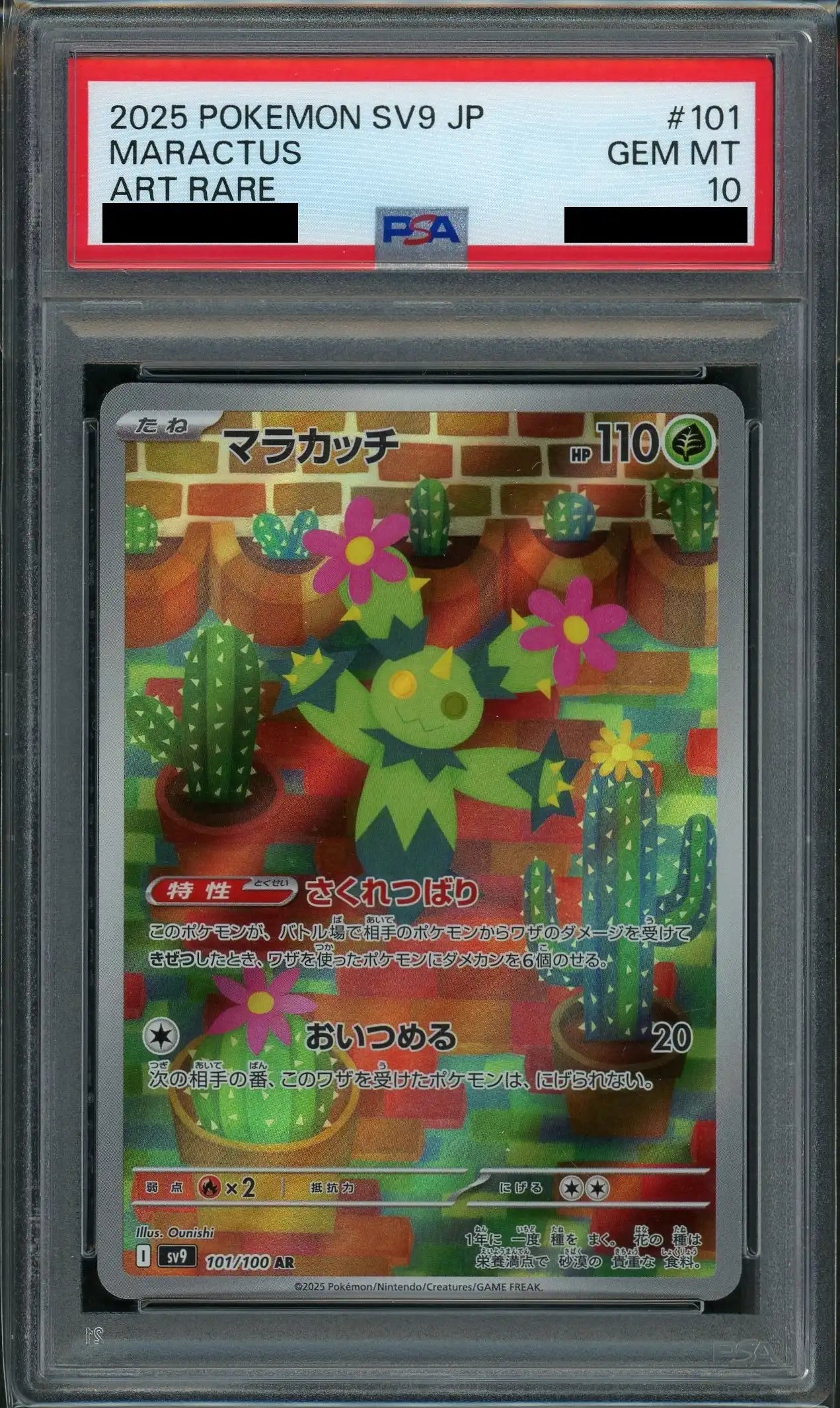 【PSA10】マラカッチ(AR){草}〈101/100〉[SV9]