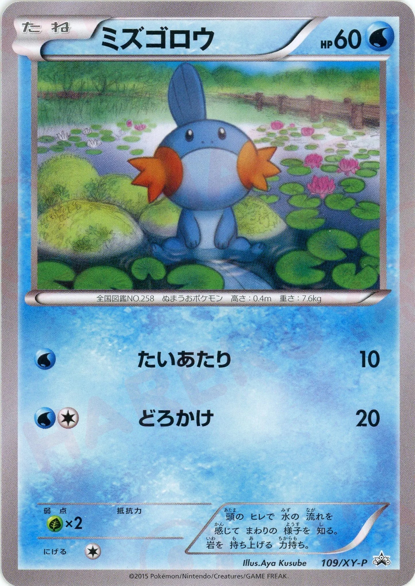 ミズゴロウ(PROMO){水}〈109/XY-P〉[XY-P]