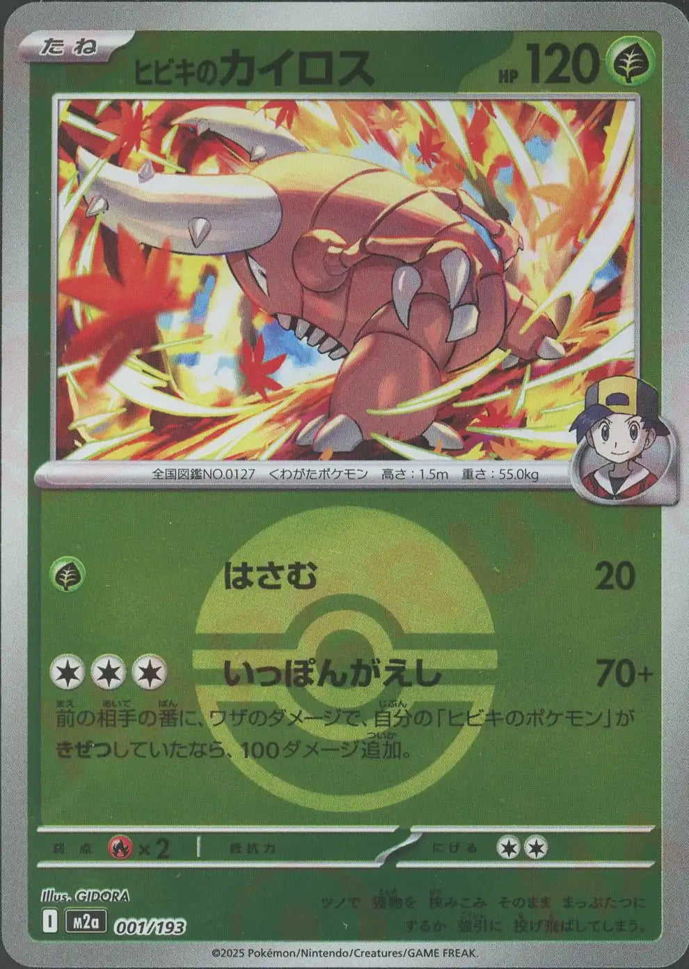 ヒビキのカイロス:ボールミラー(-){草}〈001/193〉[M2a-BM]