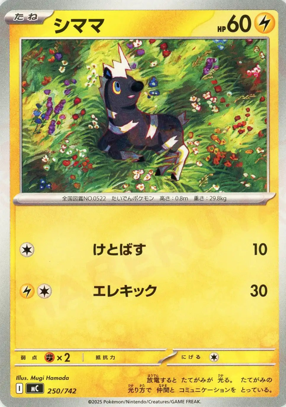 シママ(-){雷}〈250/742〉[MC]