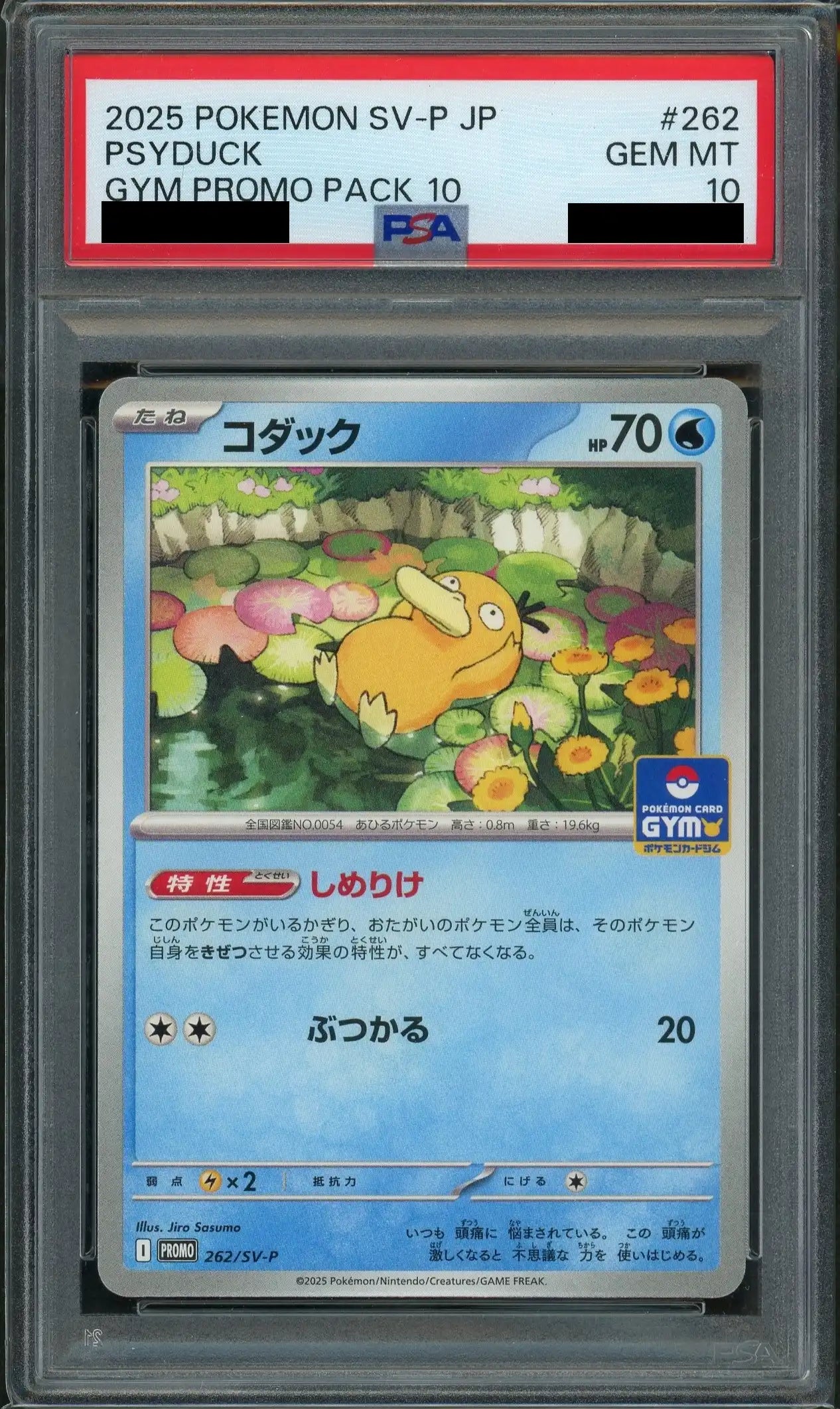 【PSA10】コダック(PROMO){水}〈262/SV-P〉[SV-P]
