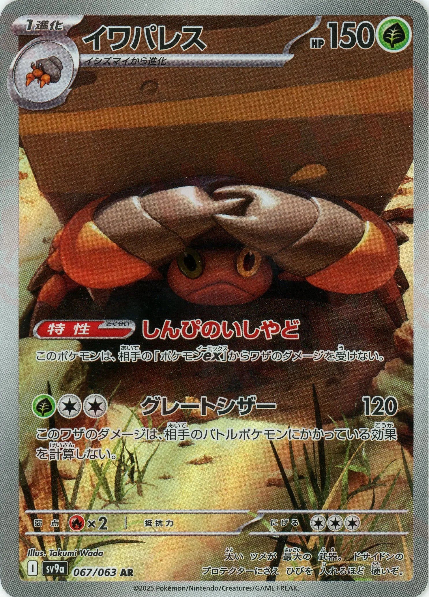 【ge】熱風のアリーナ2BOX 楽天市場】熱風のアリーナ boxの通販
