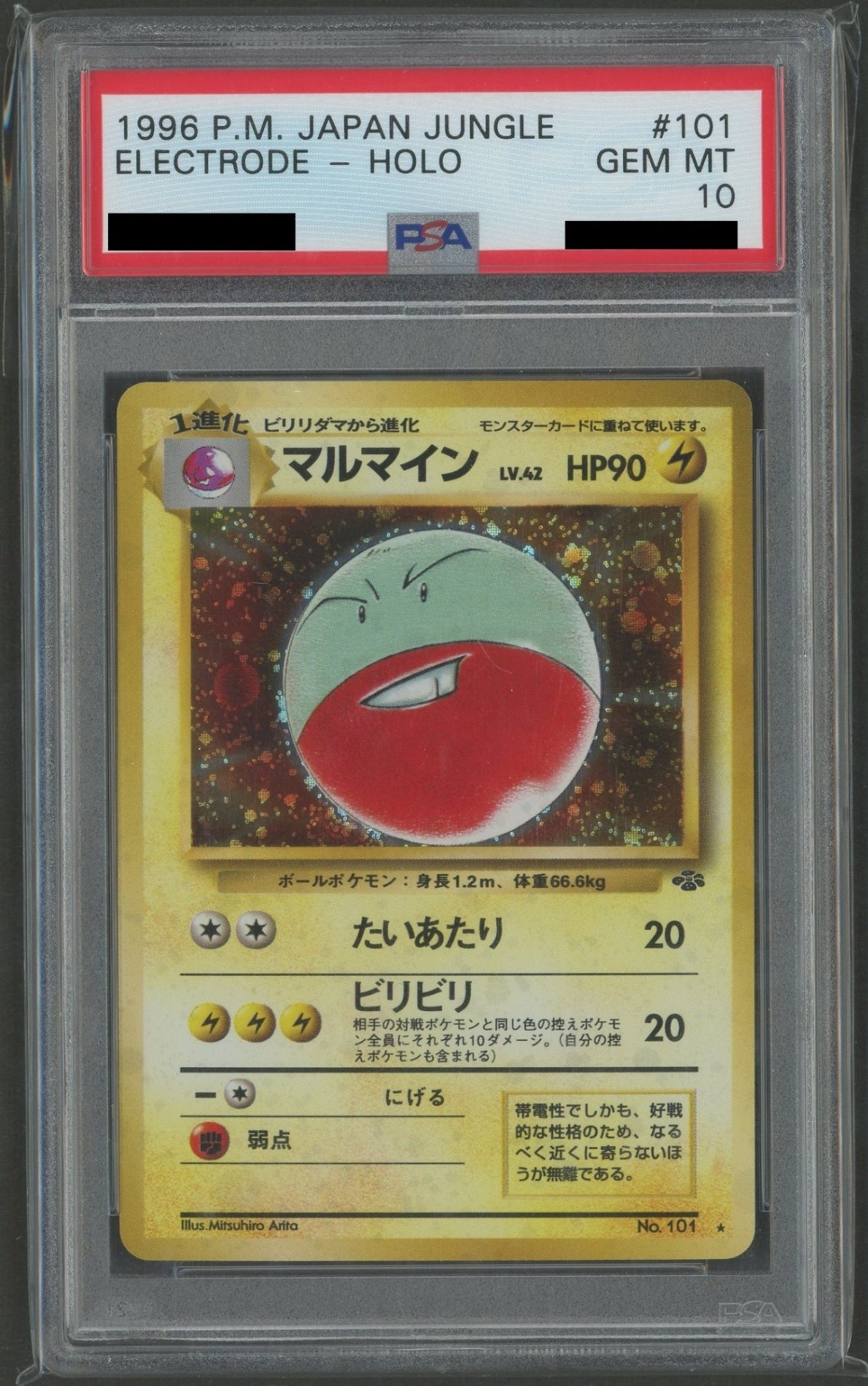 Expansion Pack 2: Pokémon Jungle PSA 10 Holo Cards 16-Card Complete Set #2262