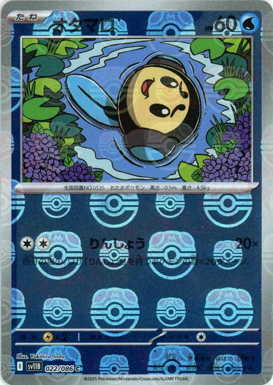 ブラックボルト ホワイトフレア マスボミラーポケモンのみ 全144種 ブラックボルト ホワイトフレア マスボミラーポケモンのみ 全144種