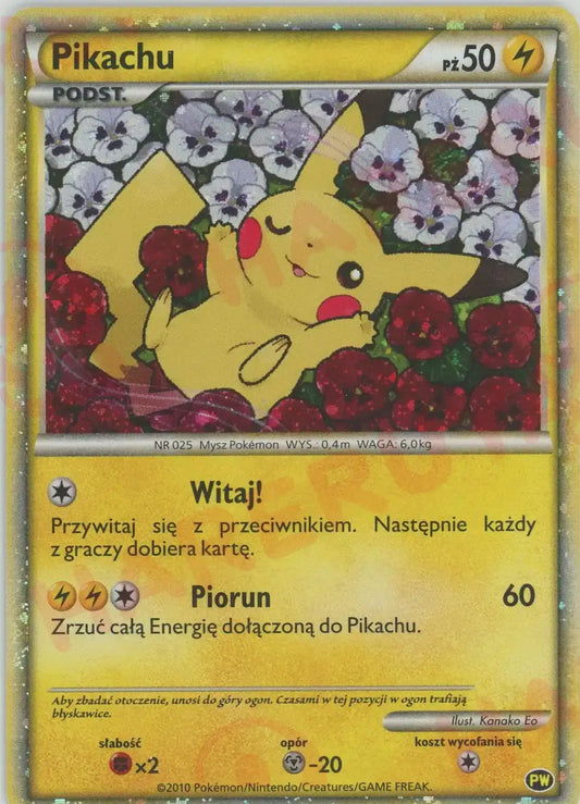 Pikachu: Poland (D){L}〈-〉[PW]
