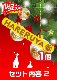 【ハレツーフェス2025冬】イベントチケットパッケージ