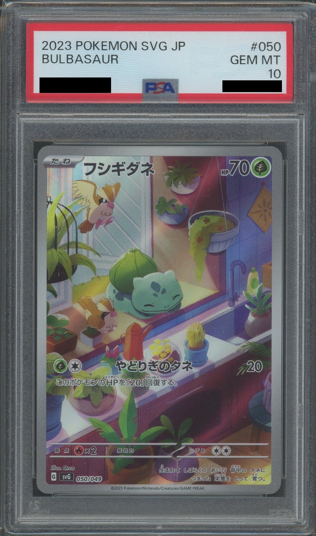 【PSA10】フシギダネ(D){草}〈050/049〉[SVG]