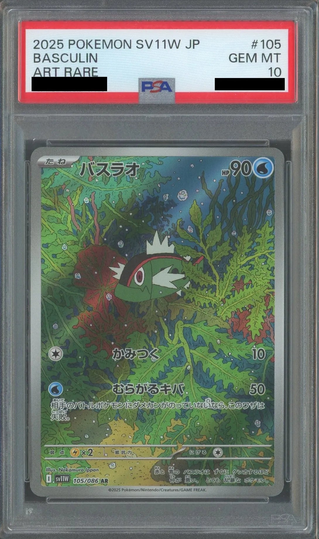 【PSA10】バスラオ(AR){水}〈105/086〉[SV11W]