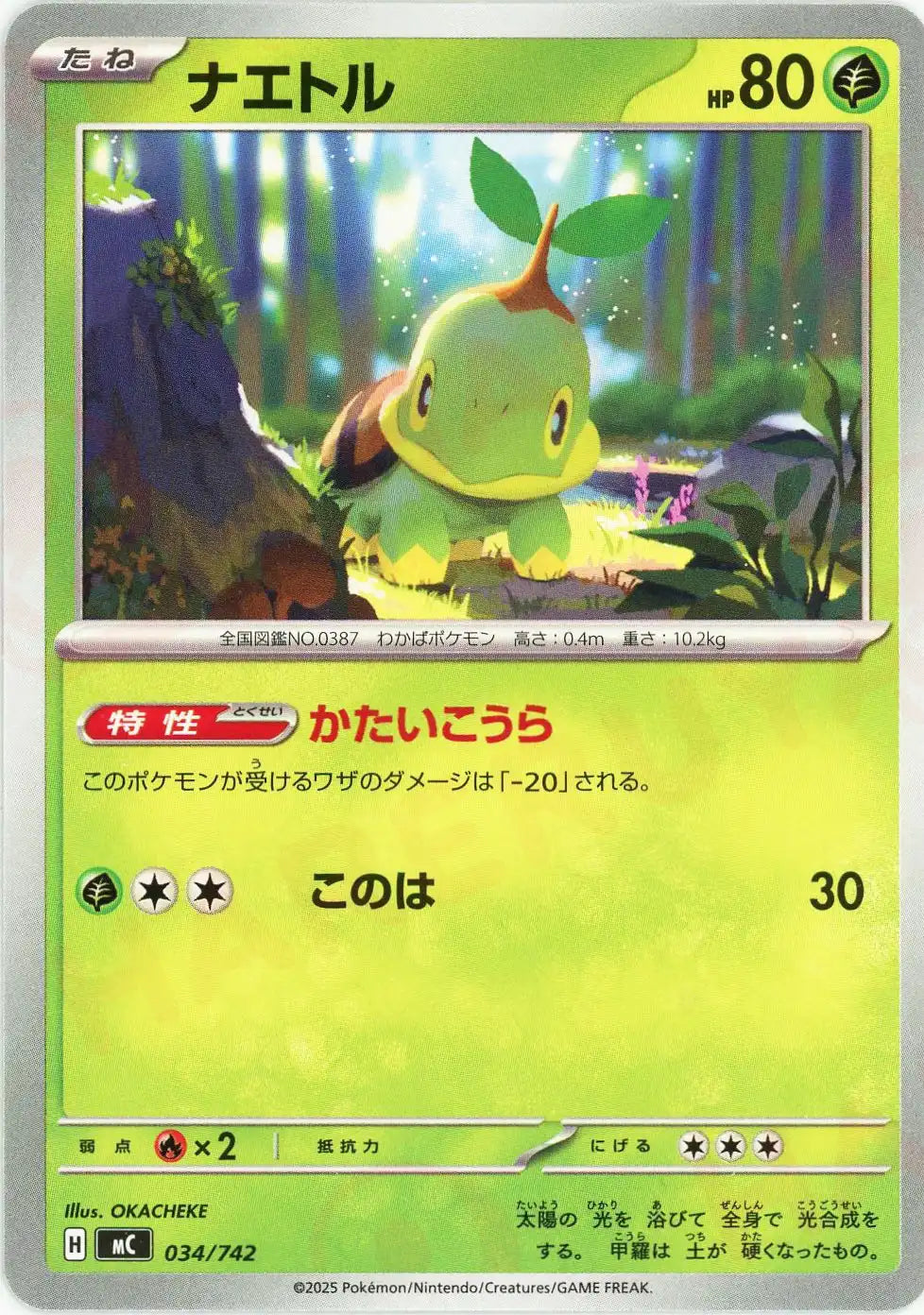 Turtwig(-){G}〈034/742〉[MC]