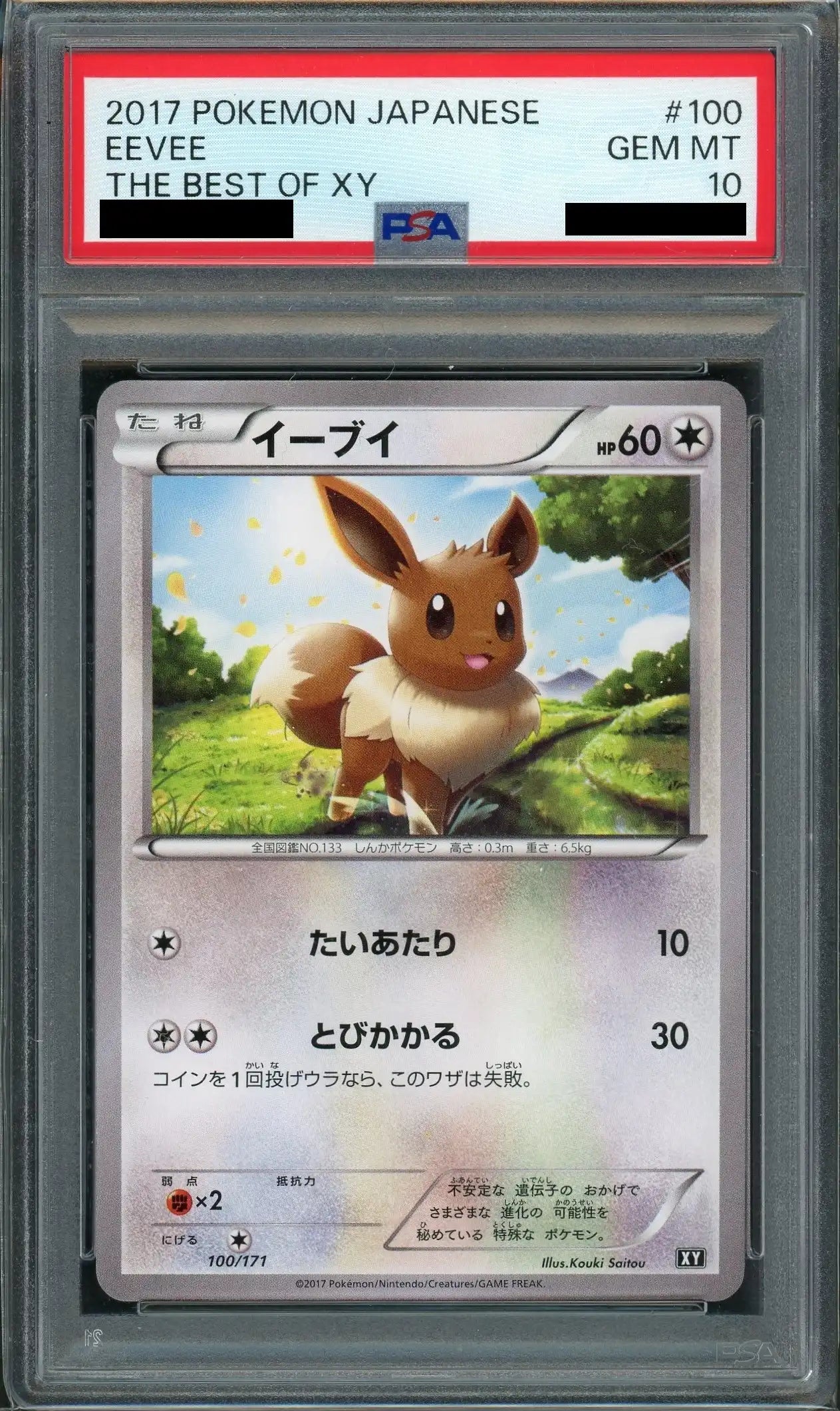 【PSA10】イーブイ(CP){無}〈100/171〉[XY/171]