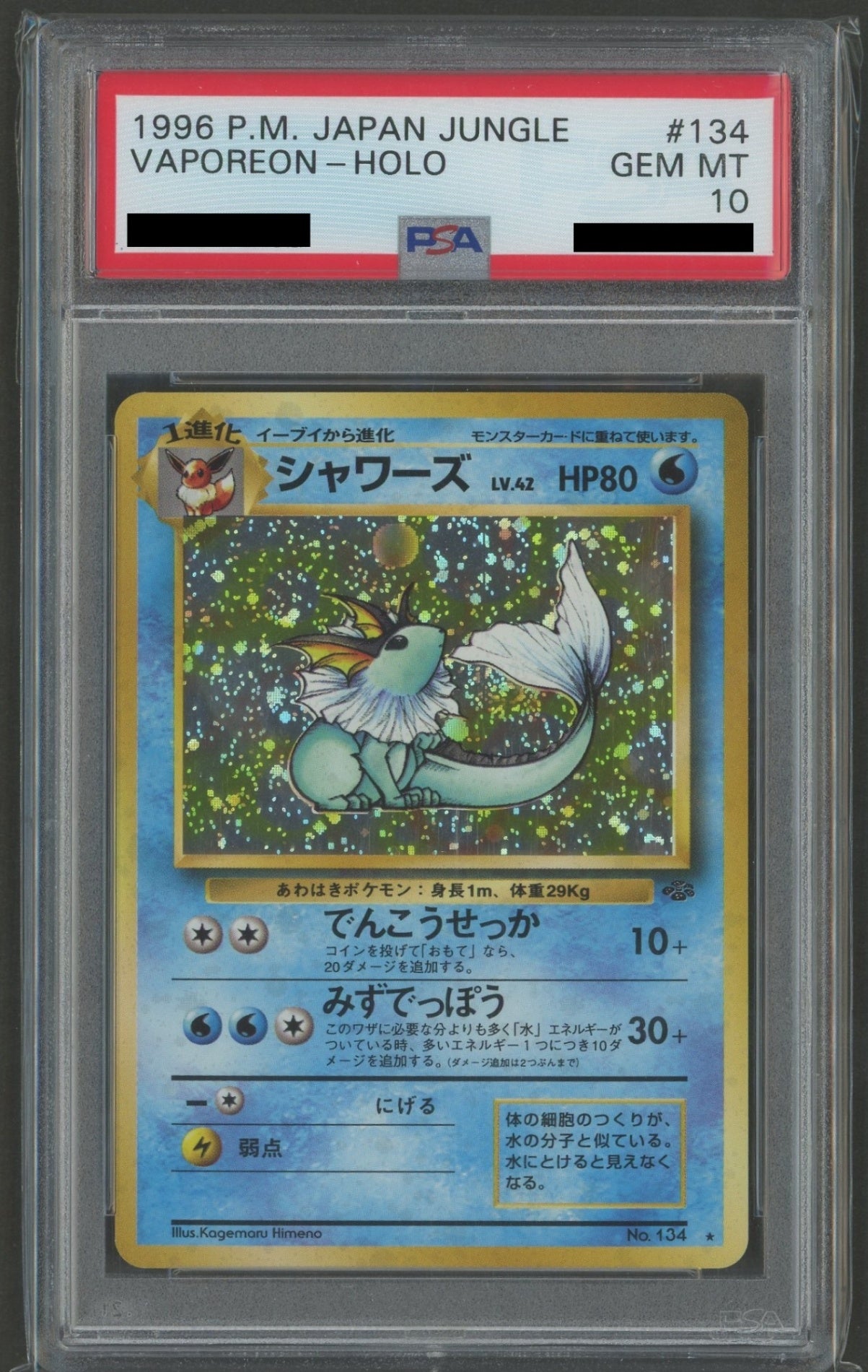 Expansion Pack 2: Pokémon Jungle PSA 10 Holo Cards 16-Card Complete Set #2262