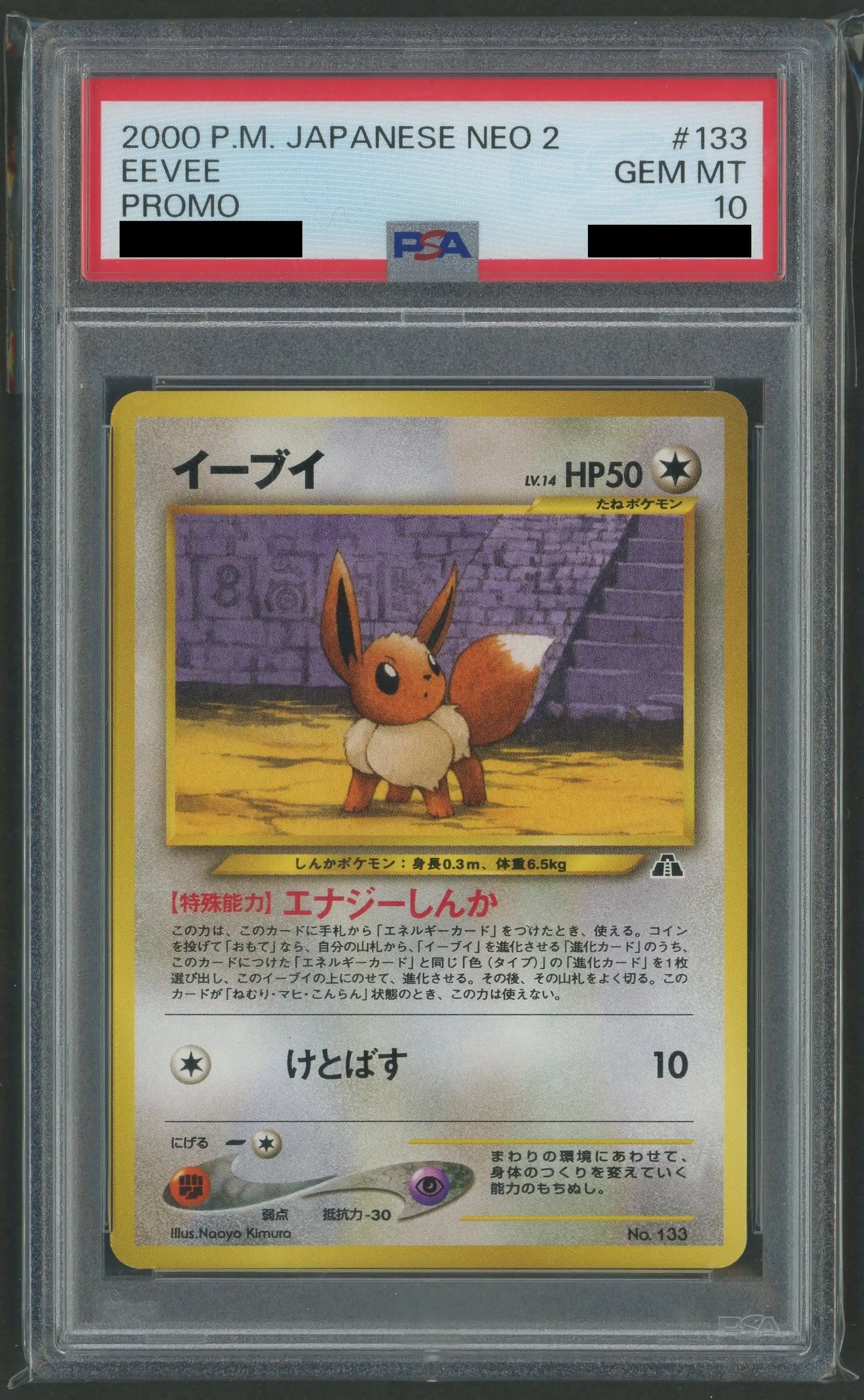 【PSA10】イーブイ:プレミアムファイル2(D){無}〈-〉[neoP2]