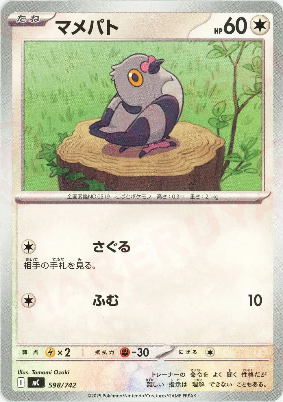 マメパト(-){無}〈598/742〉[MC]