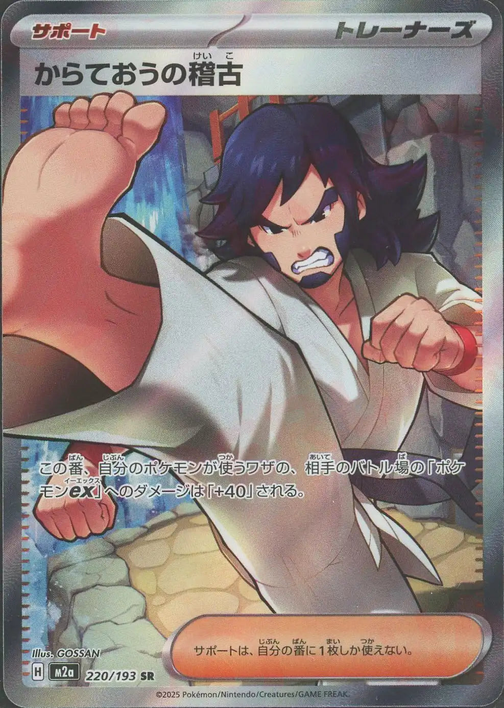からておうの稽古(SR){サポート}〈220/193〉[M2a]