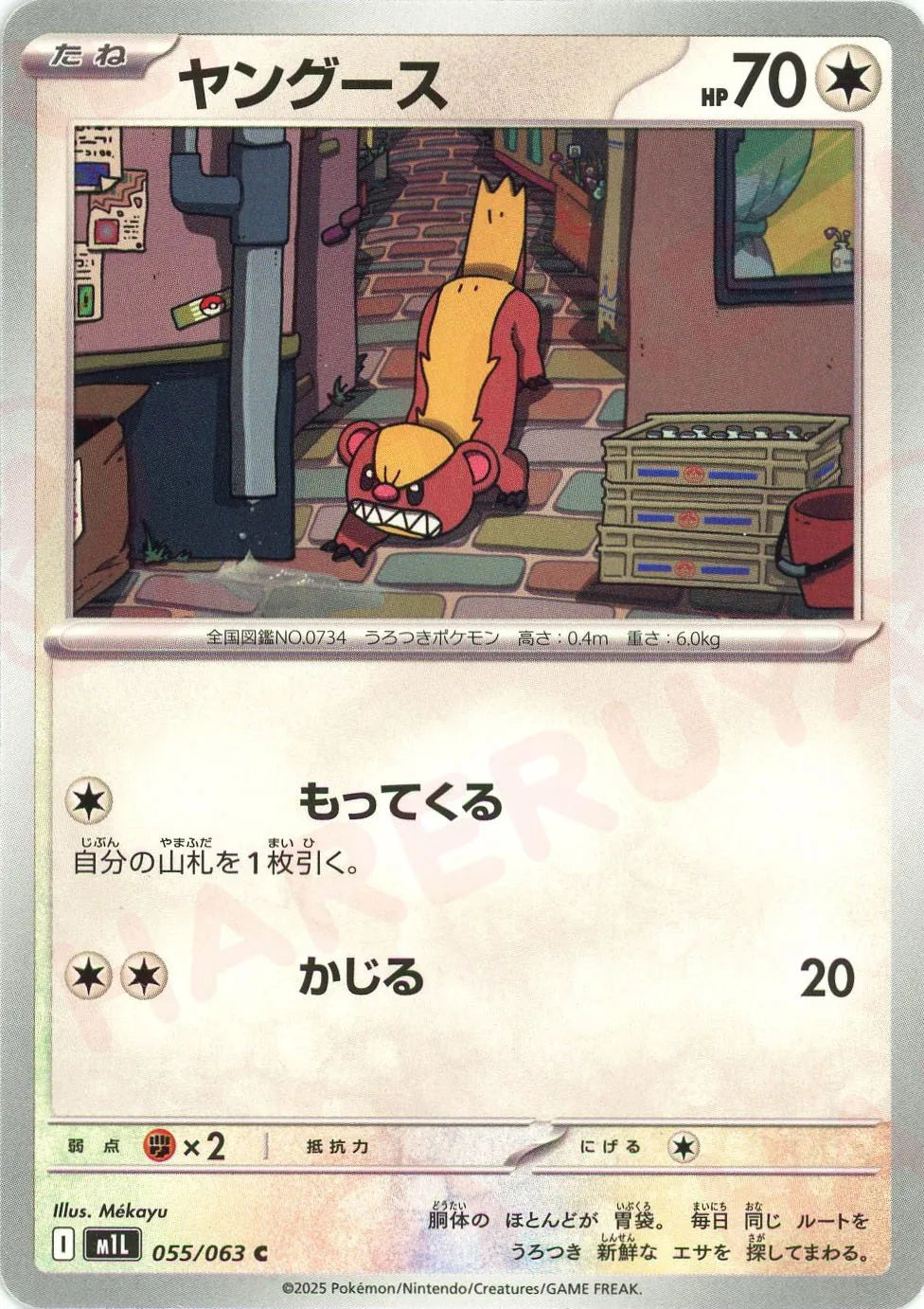 ヤングース(C){無}〈055/063〉[M1L]