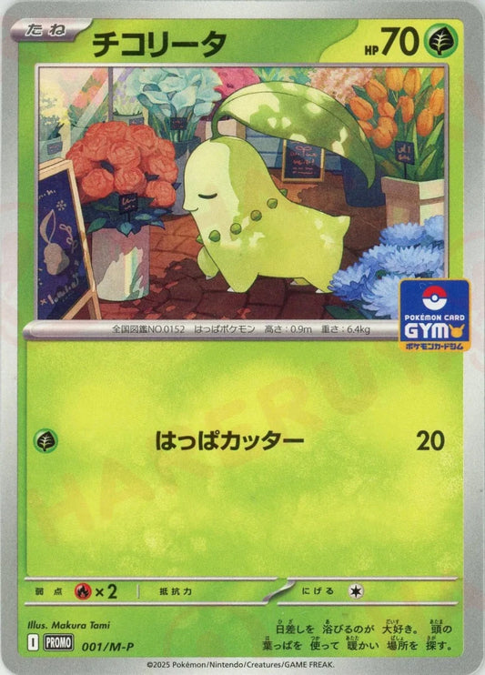 チコリータ(PROMO){草}〈001/M-P〉[M-P] - 晴れる屋2