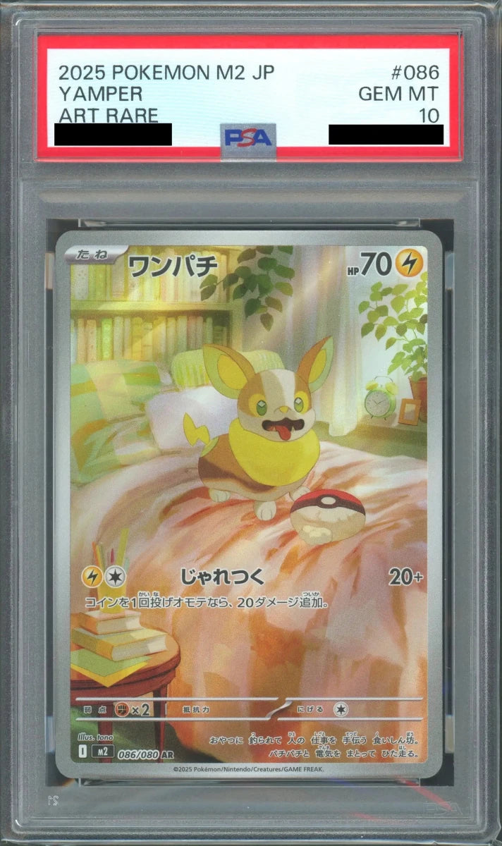 【PSA10】ワンパチ(AR){雷}〈086/080〉[M2] - 晴れる屋2