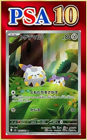 【PSA10】トゲデマル(AR){鋼}〈090/080〉[M2] ｜ポケカ販売‧買取｜ 晴れる屋2
