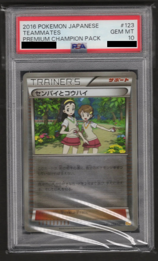 【PSA10】センパイとコウハイ(CP){サポート}〈123/131〉[CP4] - 晴れる屋2