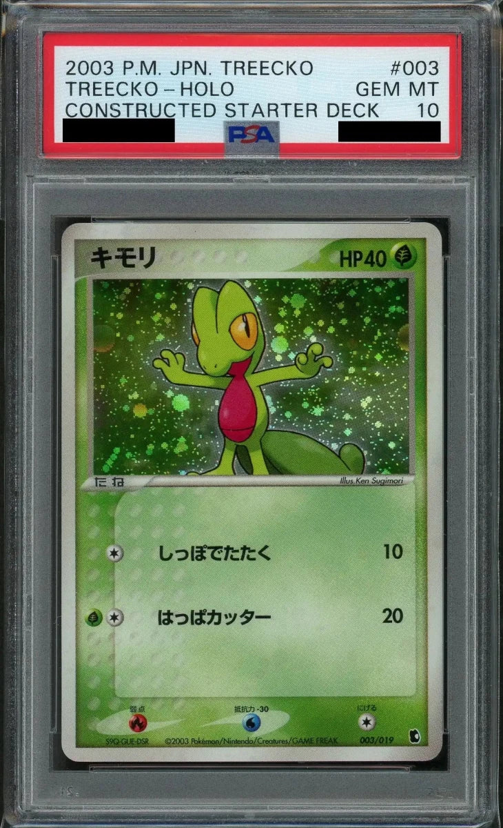 【PSA10】キモリ(D){草}〈003/019〉[ADS-1k] - 晴れる屋2