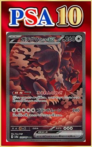 【PSA10】ガチグマアカツキex(SAR){無}〈225/187〉[SV8a] ｜ポケカ販売‧買取｜ 晴れる屋2