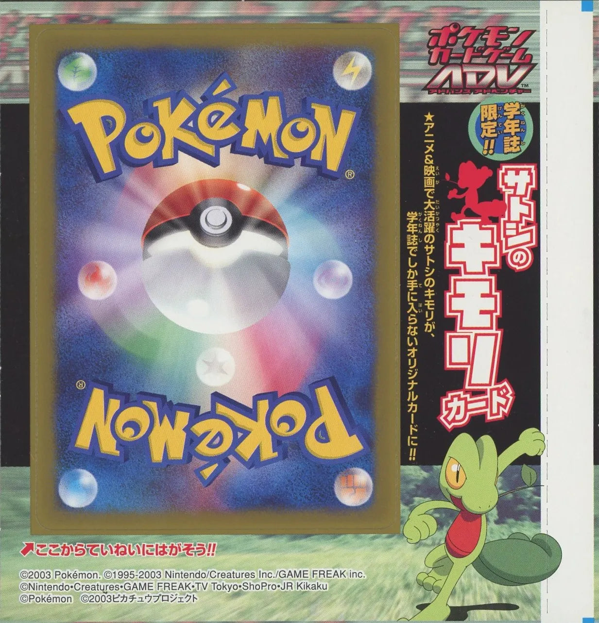 【未剥がしプロモ】サトシのキモリ 036/ADV-P