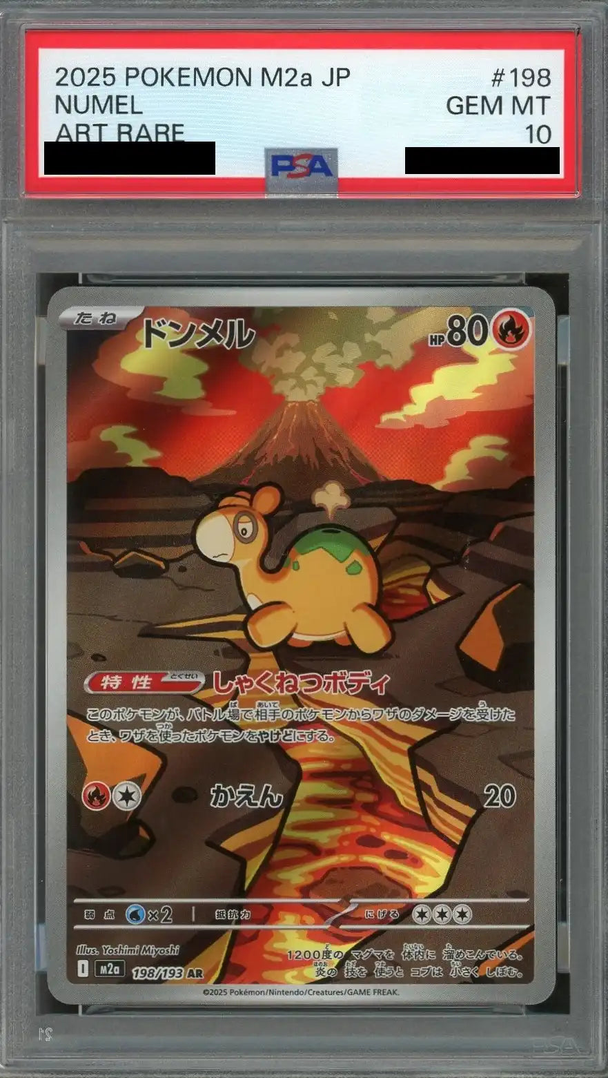【PSA10】ドンメル(AR){炎}〈198/193〉[M2a]