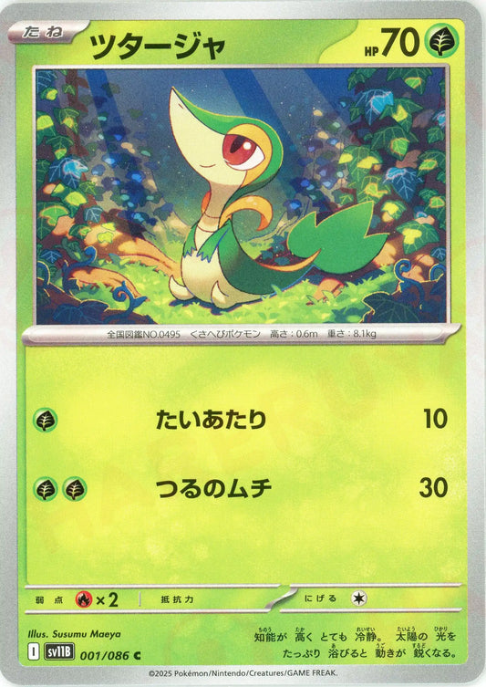 ブラックボルト2 ホワイトフレア1 ブラックボルト・ホワイトフレア:ノーマル – 晴れる屋2