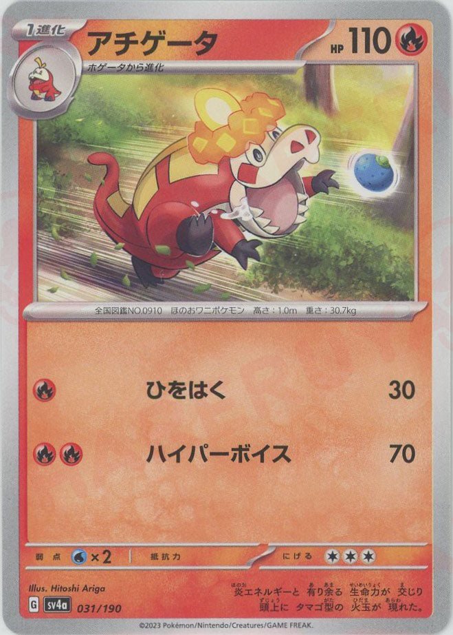 アチゲータ(-){炎}〈031/190〉[SV4a] ｜ポケカ販売‧買取｜ 晴れる屋2