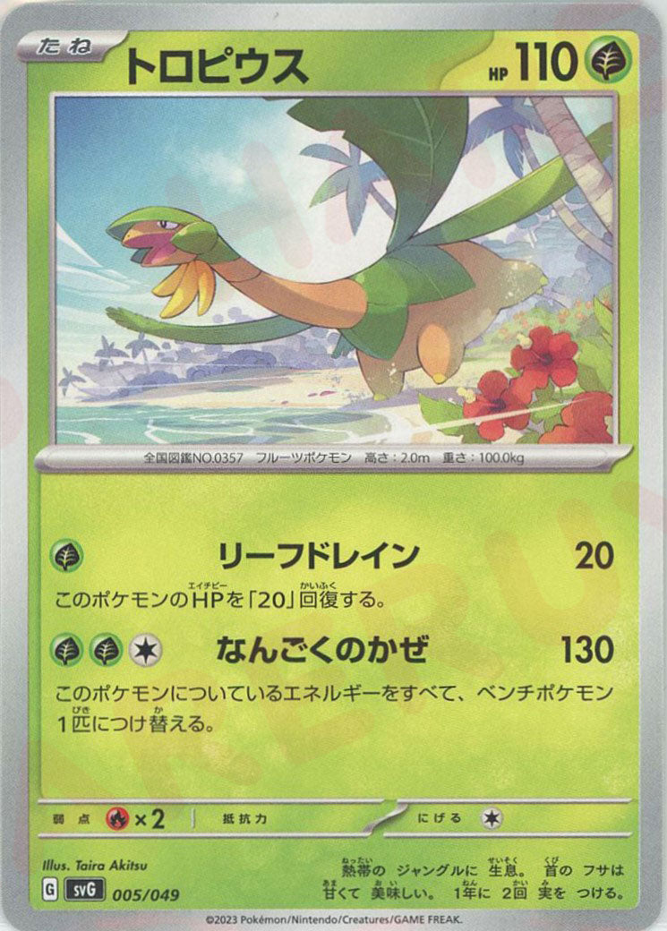 フシギバナex サンダーex 2枚セット フシギバナex サンダーex 2枚セット