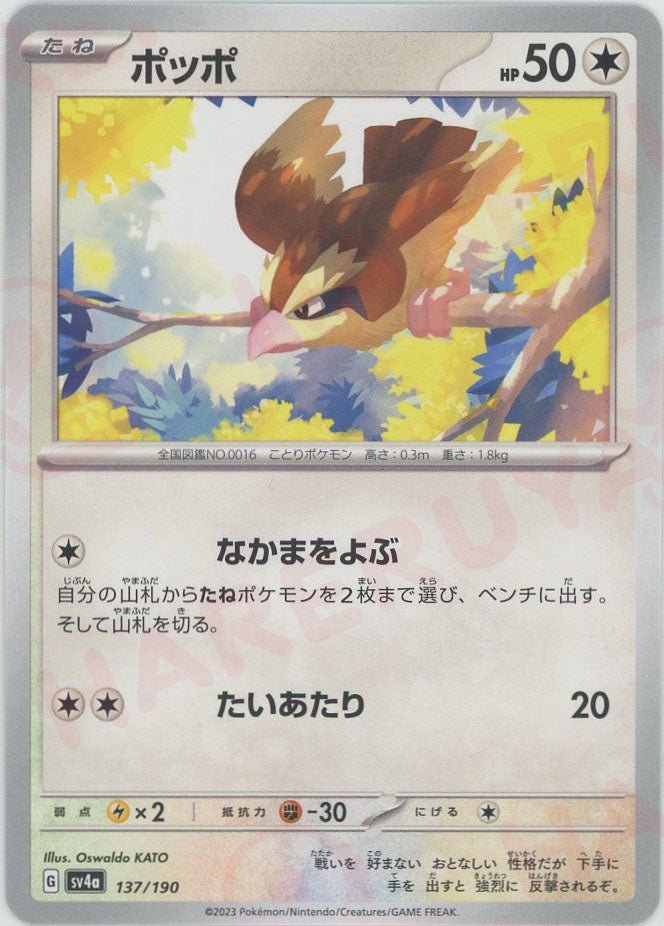 ポッポ(-){無}〈137/190〉[SV4a] ｜ポケカ販売‧買取｜ 晴れる屋2