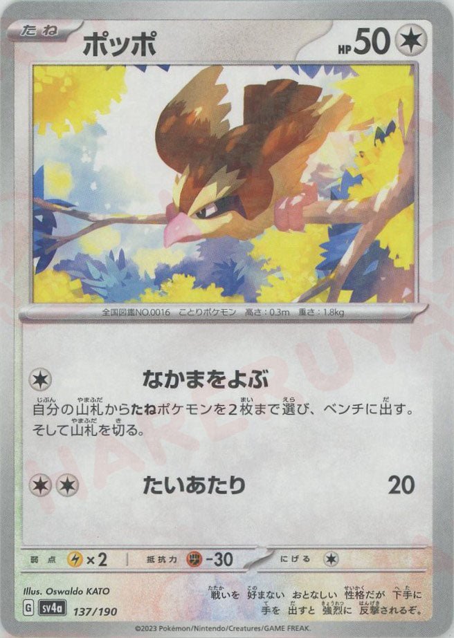 ポッポ:ミラー(-){無}〈137/190〉[SV4a-M] ｜ポケカ販売‧買取｜ 晴れる屋2