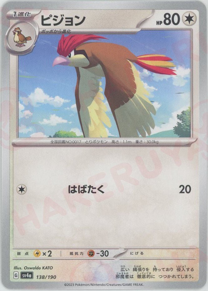 ピジョン(-){無}〈138/190〉[SV4a] ｜ポケカ販売‧買取｜ 晴れる屋2