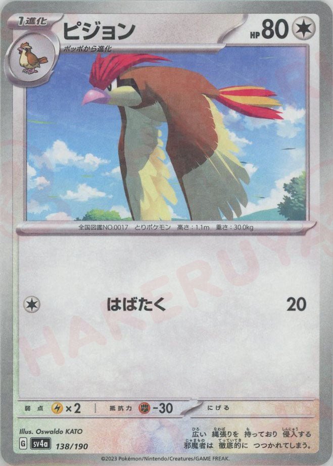 ピジョン:ミラー(-){無}〈138/190〉[SV4a-M] ｜ポケカ販売‧買取｜ 晴れる屋2