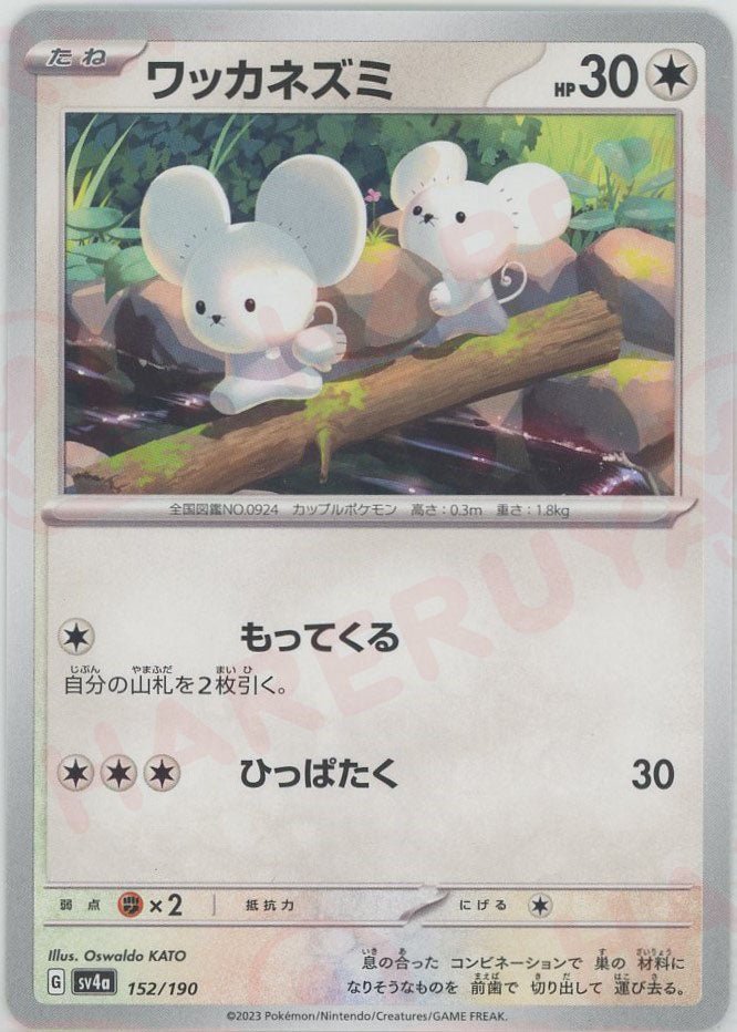 ワッカネズミ(-){無}〈152/190〉[SV4a] ｜ポケカ販売‧買取｜ 晴れる屋2