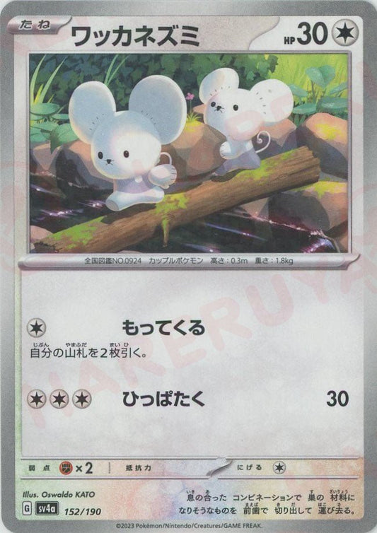 ワッカネズミ:ミラー(-){無}〈152/190〉[SV4a-M] ｜ポケカ販売‧買取｜ 晴れる屋2