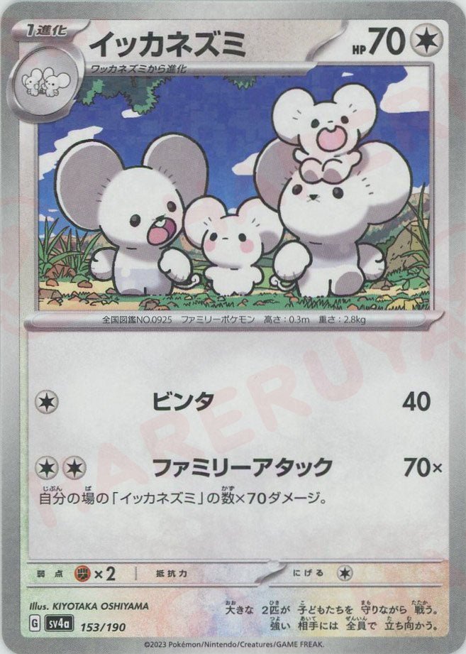 イッカネズミ:ミラー(-){無}〈153/190〉[SV4a-M] ｜ポケカ販売‧買取｜ 晴れる屋2