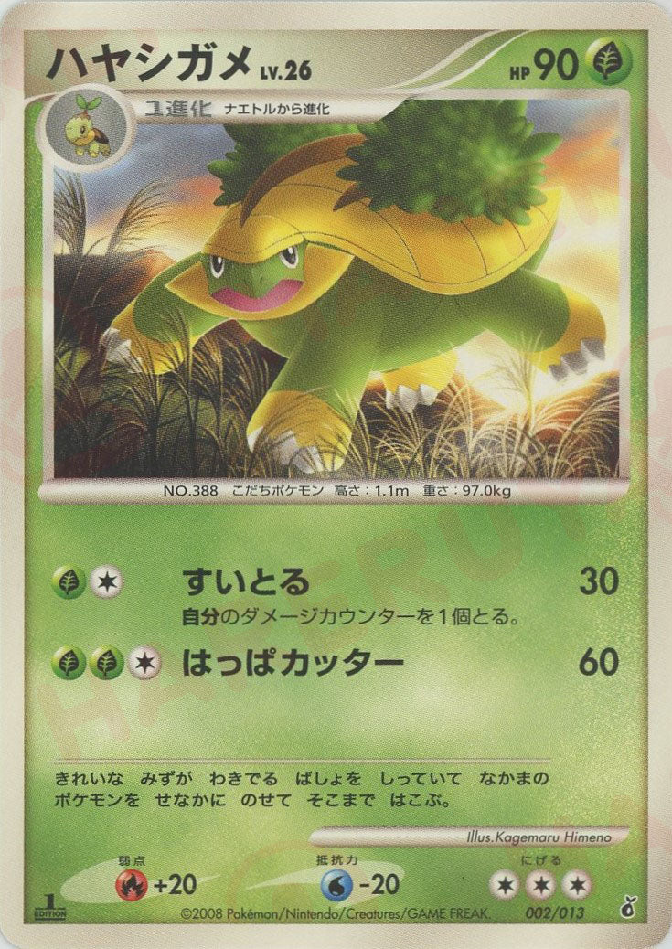 ポケモンカード DPT エントリーパック トレーディングカード