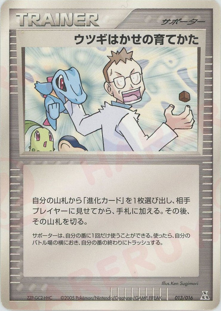Amazon.co.jp: ポケモンカードゲーム構築済みスターター