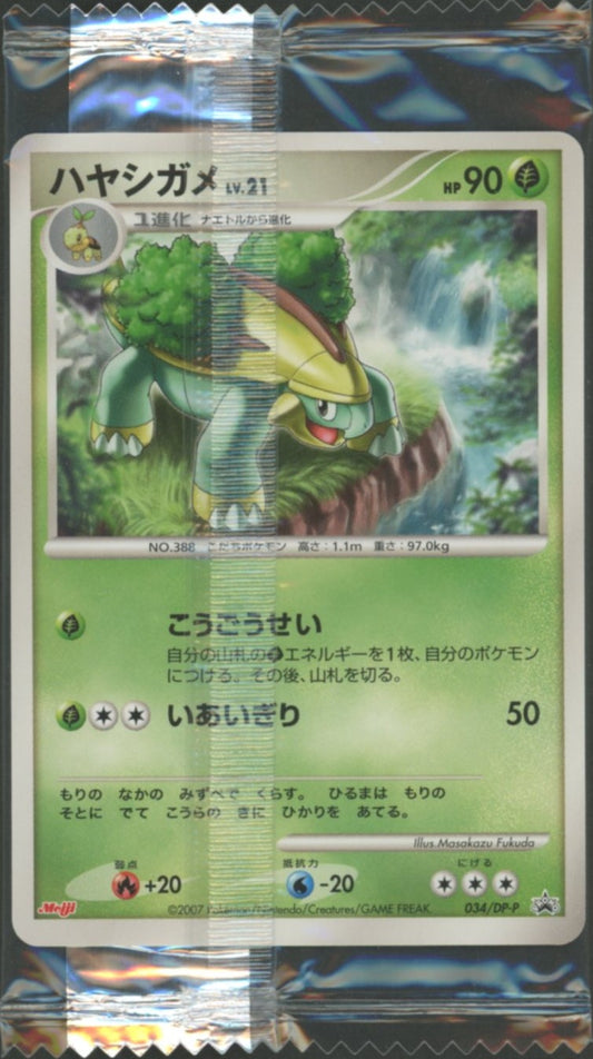 【未開封プロモ】 ハヤシガメLV.21 034/DP-P