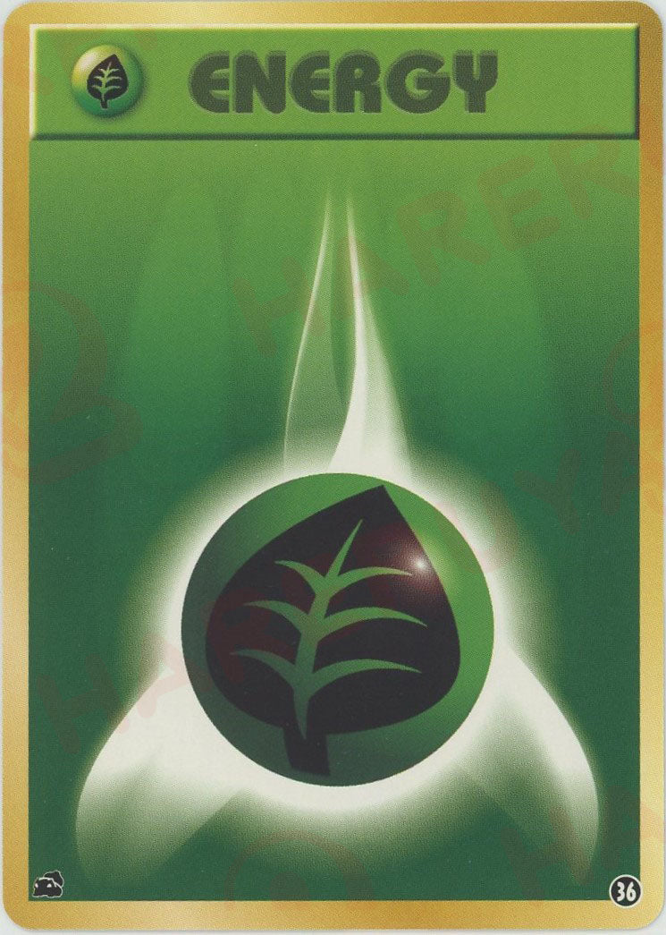 ポケモンカードゲーム イントロパック – 晴れる屋2